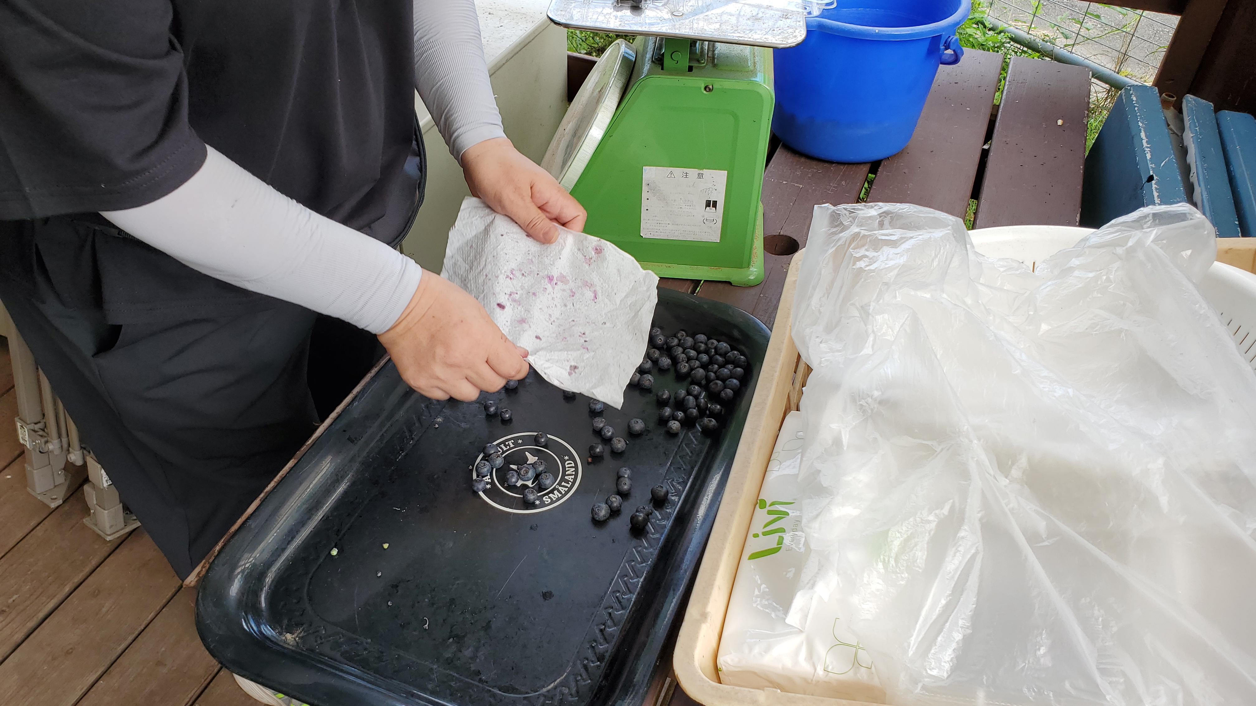 楽しく学ぶ職業訓練プログラム