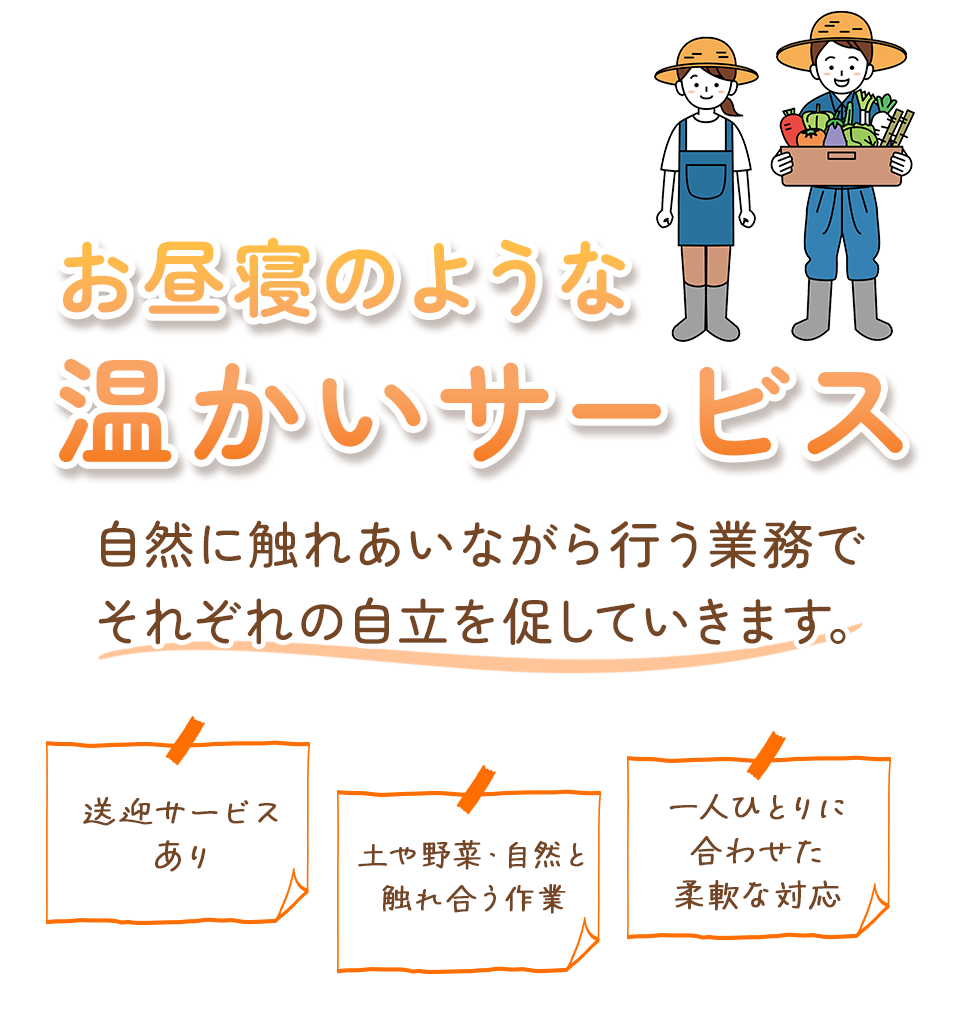 mv_sp