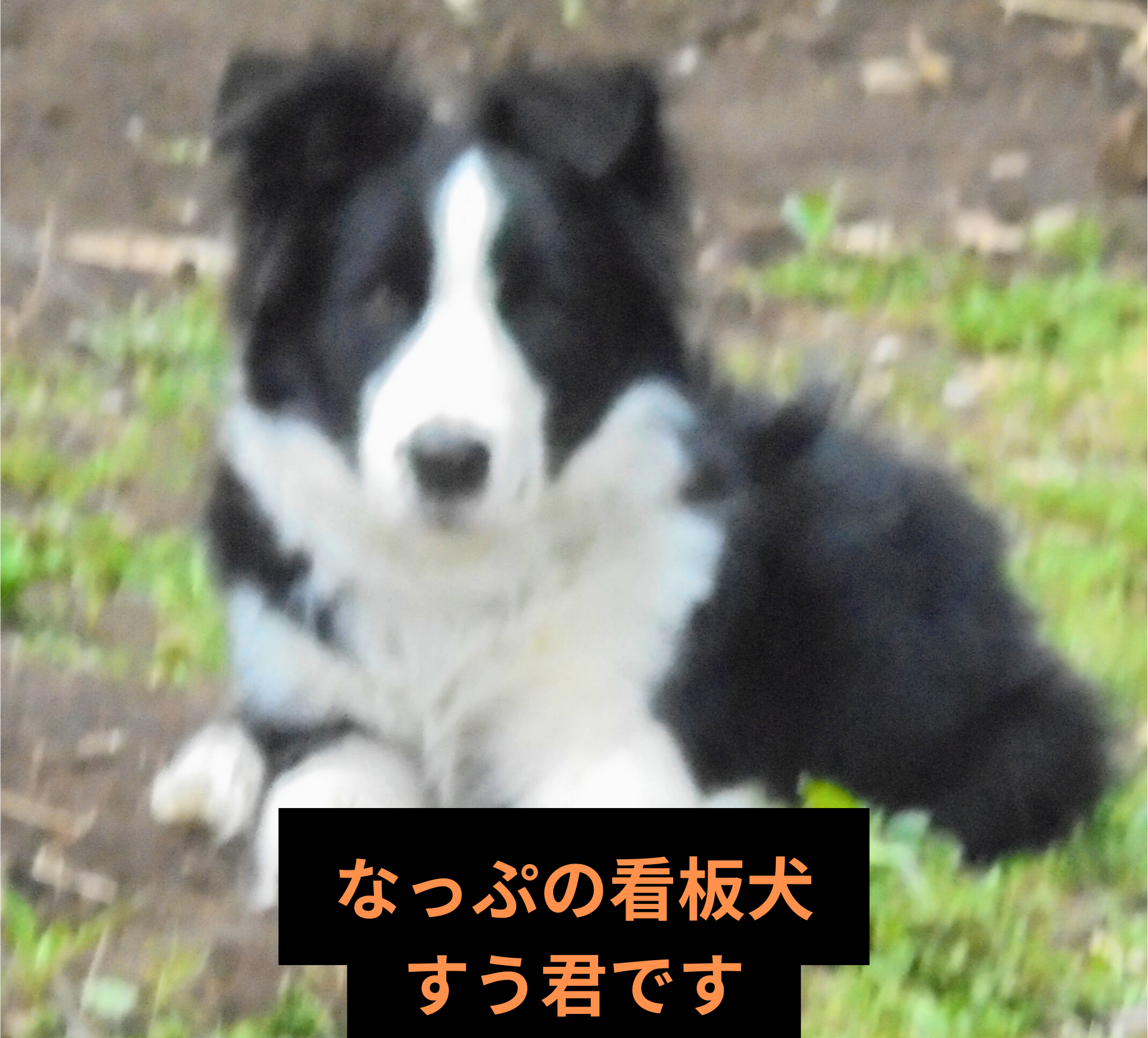 美容室2